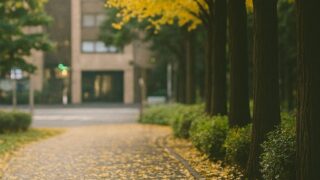 FP1級の難化は、制度の“わかりにくさ”の鏡かもしれない